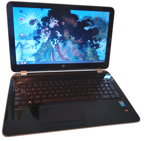 Photo of the HP Pavilion 15-n008tx laptop