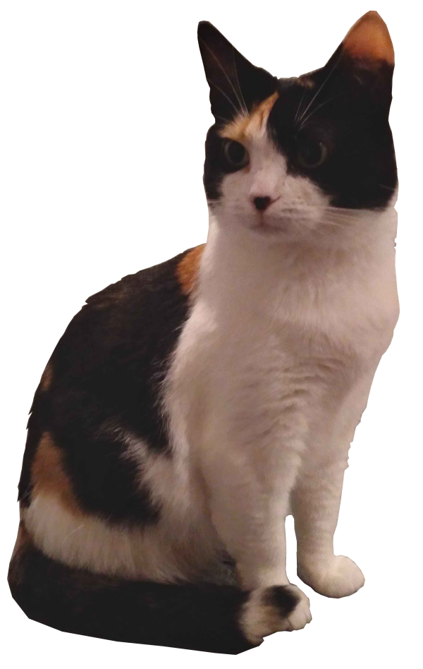 Tangy sitting all pretty